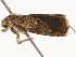  ( - BIOUG45818-F01)  @11 [ ] CreativeCommons - Attribution (2020) CBG Photography Group Centre for Biodiversity Genomics