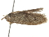  ( - BIOUG45819-G01)  @11 [ ] CreativeCommons - Attribution (2020) CBG Photography Group Centre for Biodiversity Genomics