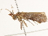  ( - BIOUG45820-D10)  @12 [ ] CreativeCommons - Attribution (2020) CBG Photography Group Centre for Biodiversity Genomics