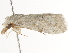  ( - BIOUG45821-F03)  @11 [ ] CreativeCommons - Attribution (2020) CBG Photography Group Centre for Biodiversity Genomics