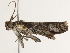  ( - BIOUG45821-G04)  @11 [ ] CreativeCommons - Attribution (2020) CBG Photography Group Centre for Biodiversity Genomics