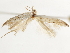  ( - BIOUG45822-F03)  @11 [ ] CreativeCommons - Attribution (2020) CBG Photography Group Centre for Biodiversity Genomics
