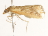  ( - BIOUG45822-H10)  @11 [ ] CreativeCommons - Attribution (2020) CBG Photography Group Centre for Biodiversity Genomics