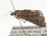  ( - BIOUG45823-A10)  @11 [ ] CreativeCommons - Attribution (2020) CBG Photography Group Centre for Biodiversity Genomics