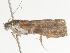  ( - BIOUG45823-B05)  @12 [ ] CreativeCommons - Attribution (2020) CBG Photography Group Centre for Biodiversity Genomics