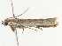  ( - BIOUG45824-F05)  @11 [ ] CreativeCommons - Attribution (2020) CBG Photography Group Centre for Biodiversity Genomics