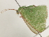 ( - BIOUG45824-G09)  @12 [ ] CreativeCommons - Attribution (2020) CBG Photography Group Centre for Biodiversity Genomics