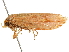  ( - BIOUG51281-G04)  @11 [ ] CreativeCommons - Attribution (2019) CBG Photography Group Centre for Biodiversity Genomics
