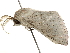  ( - BIOUG51282-G06)  @12 [ ] CreativeCommons - Attribution (2019) CBG Photography Group Centre for Biodiversity Genomics