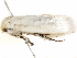  ( - BIOUG51284-H05)  @11 [ ] CreativeCommons - Attribution (2019) CBG Photography Group Centre for Biodiversity Genomics