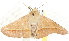  ( - BIOUG04699-A11)  @13 [ ] CreativeCommons - Attribution (2013) CBG Photography Group Centre for Biodiversity Genomics