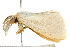  ( - BIOUG04699-B09)  @13 [ ] CreativeCommons - Attribution (2013) CBG Photography Group Centre for Biodiversity Genomics