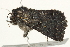  ( - BIOUG04700-A12)  @13 [ ] CreativeCommons - Attribution (2013) CBG Photography Group Centre for Biodiversity Genomics