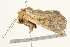  ( - BIOUG04700-B05)  @12 [ ] CreativeCommons - Attribution (2013) CBG Photography Group Centre for Biodiversity Genomics