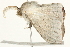  ( - BIOUG04700-C09)  @12 [ ] CreativeCommons - Attribution (2013) CBG Photography Group Centre for Biodiversity Genomics