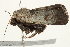  ( - BIOUG04701-B03)  @13 [ ] CreativeCommons - Attribution (2013) CBG Photography Group Centre for Biodiversity Genomics