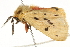  ( - BIOUG04701-B11)  @13 [ ] CreativeCommons - Attribution (2013) CBG Photography Group Centre for Biodiversity Genomics