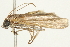  ( - BIOUG04701-G07)  @13 [ ] CreativeCommons - Attribution (2013) CBG Photography Group Centre for Biodiversity Genomics