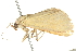  ( - BIOUG04702-E01)  @12 [ ] CreativeCommons - Attribution (2013) CBG Photography Group Centre for Biodiversity Genomics
