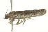  ( - BIOUG04702-E10)  @13 [ ] CreativeCommons - Attribution (2013) CBG Photography Group Centre for Biodiversity Genomics