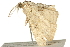  ( - BIOUG04702-G02)  @12 [ ] CreativeCommons - Attribution (2013) CBG Photography Group Centre for Biodiversity Genomics