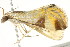  ( - BIOUG04703-A03)  @12 [ ] CreativeCommons - Attribution (2013) CBG Photography Group Centre for Biodiversity Genomics