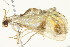  ( - BIOUG04703-A04)  @12 [ ] CreativeCommons - Attribution (2013) CBG Photography Group Centre for Biodiversity Genomics