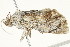  ( - BIOUG04703-A08)  @12 [ ] CreativeCommons - Attribution (2013) CBG Photography Group Centre for Biodiversity Genomics