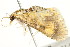  ( - BIOUG04703-C08)  @13 [ ] CreativeCommons - Attribution (2013) CBG Photography Group Centre for Biodiversity Genomics