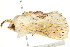  ( - BIOUG04703-F01)  @13 [ ] CreativeCommons - Attribution (2013) CBG Photography Group Centre for Biodiversity Genomics