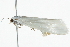  ( - BIOUG04704-A03)  @13 [ ] CreativeCommons - Attribution (2013) CBG Photography Group Centre for Biodiversity Genomics