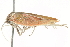  ( - BIOUG04704-A11)  @13 [ ] CreativeCommons - Attribution (2013) CBG Photography Group Centre for Biodiversity Genomics