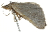  ( - BIOUG04705-A06)  @12 [ ] CreativeCommons - Attribution (2013) CBG Photography Group Centre for Biodiversity Genomics