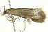  ( - BIOUG04705-D08)  @13 [ ] CreativeCommons - Attribution (2013) CBG Photography Group Centre for Biodiversity Genomics