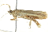  ( - BIOUG04706-A02)  @12 [ ] CreativeCommons - Attribution (2013) CBG Photography Group Centre for Biodiversity Genomics