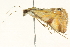  ( - BIOUG04706-E03)  @12 [ ] CreativeCommons - Attribution (2013) CBG Photography Group Centre for Biodiversity Genomics
