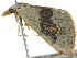  ( - BIOUG05361-B04)  @12 [ ] CreativeCommons - Attribution (2013) CBG Photography Group Centre for Biodiversity Genomics