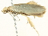  ( - BIOUG05362-C11)  @12 [ ] CreativeCommons - Attribution (2013) CBG Photography Group Centre for Biodiversity Genomics