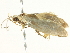  ( - BIOUG05362-D02)  @12 [ ] CreativeCommons - Attribution (2013) CBG Photography Group Centre for Biodiversity Genomics