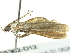  ( - BIOUG05362-D12)  @13 [ ] CreativeCommons - Attribution (2013) CBG Photography Group Centre for Biodiversity Genomics