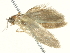  ( - BIOUG05362-E01)  @13 [ ] CreativeCommons - Attribution (2013) CBG Photography Group Centre for Biodiversity Genomics