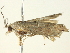  ( - BIOUG05362-F06)  @13 [ ] CreativeCommons - Attribution (2013) CBG Photography Group Centre for Biodiversity Genomics