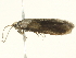  ( - BIOUG05362-H01)  @13 [ ] CreativeCommons - Attribution (2013) CBG Photography Group Centre for Biodiversity Genomics