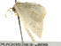  ( - BIOUG05363-B09)  @14 [ ] CreativeCommons - Attribution (2013) CNC/CBG Photography Group Centre for Biodiversity Genomics