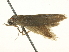  ( - BIOUG05364-B03)  @12 [ ] CreativeCommons - Attribution (2013) CNC/CBG Photography Group Centre for Biodiversity Genomics