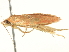  ( - BIOUG05364-E05)  @13 [ ] CreativeCommons - Attribution (2013) CNC/CBG Photography Group Centre for Biodiversity Genomics