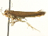  ( - BIOUG05364-F08)  @12 [ ] CreativeCommons - Attribution (2013) CNC/CBG Photography Group Centre for Biodiversity Genomics
