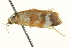  ( - BIOUG05365-F03)  @13 [ ] CreativeCommons - Attribution (2013) CBG Photography Group Centre for Biodiversity Genomics