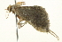  ( - BIOUG05366-A07)  @12 [ ] CreativeCommons - Attribution (2013) CBG Photography Group Centre for Biodiversity Genomics