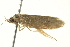  ( - BIOUG05366-B07)  @13 [ ] CreativeCommons - Attribution (2013) CBG Photography Group Centre for Biodiversity Genomics